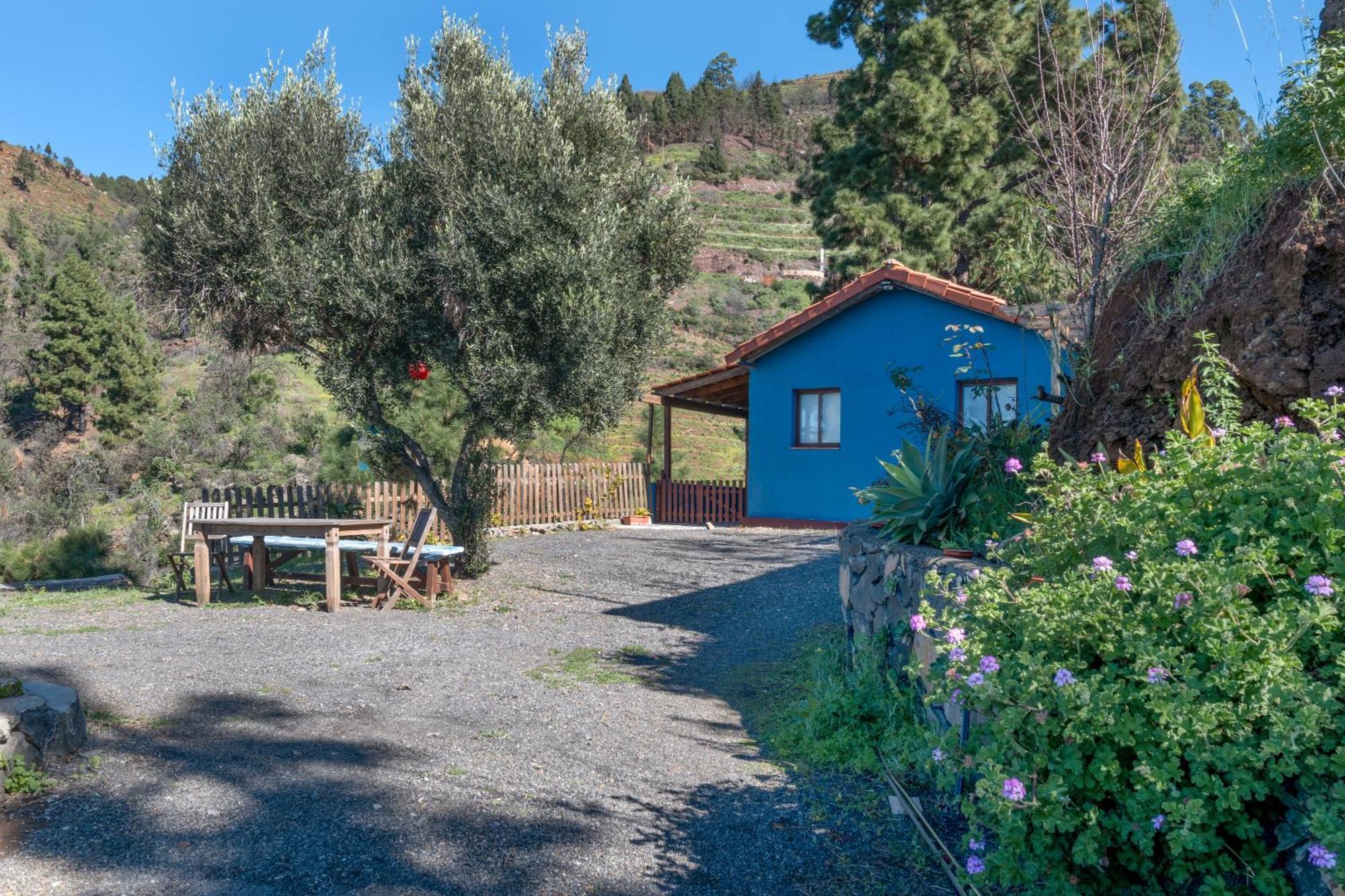 Villa Oase Im Gruenen, Meerblick Inklusive Tijarafe Exterior foto